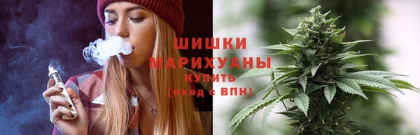 apvp Рославль
