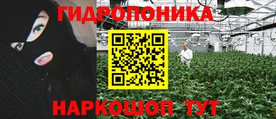 индика Абинск
