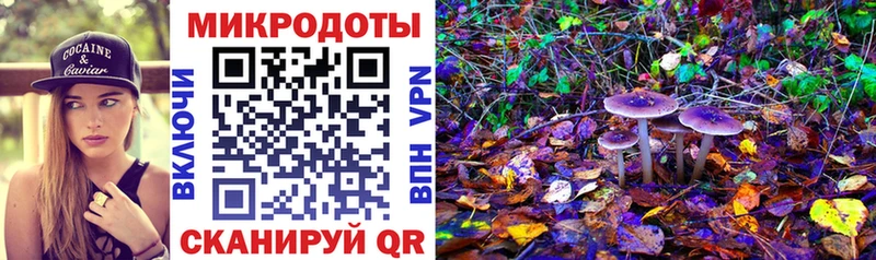 Псилоцибиновые грибы ЛСД  мега онион  Азнакаево 