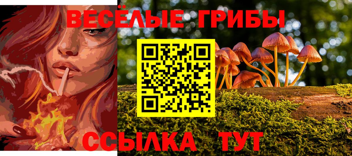 Азнакаево  Бошки Шишки  Метадон  МЕФ  Кокаин  Вход с VPN  Ляпка  Ешки  Мяу-Мяу  Альфа ПВП 