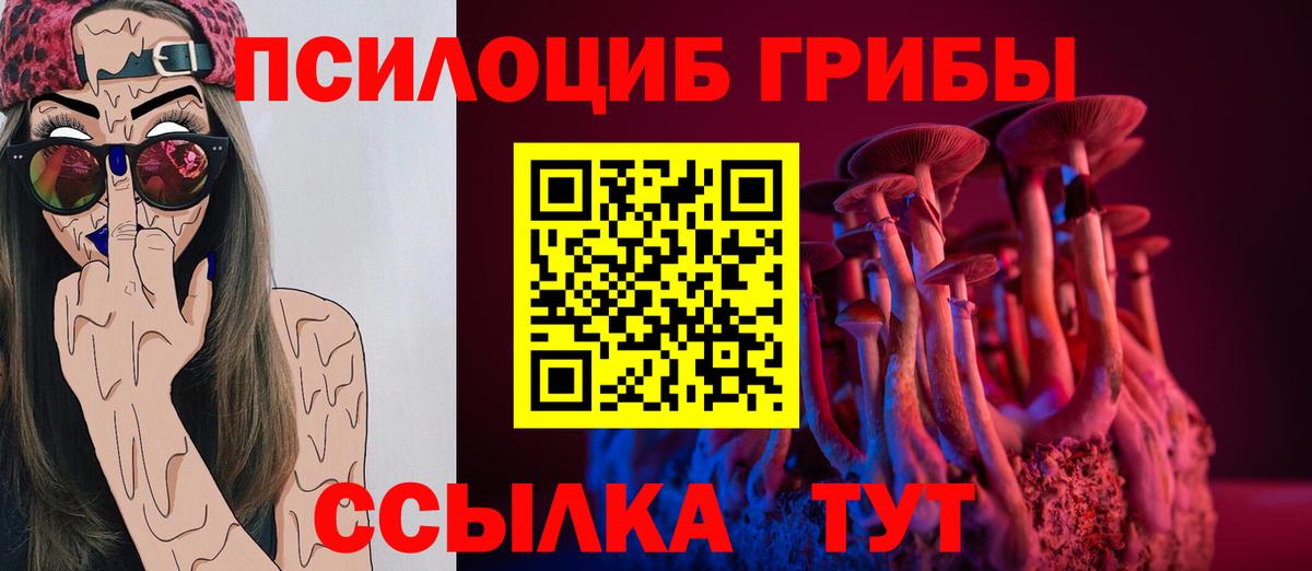 Псилоцибиновые грибы мухоморы Азнакаево